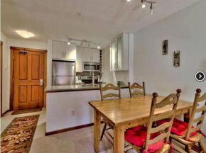 Beautiful true ski-in/out condo for family trip!